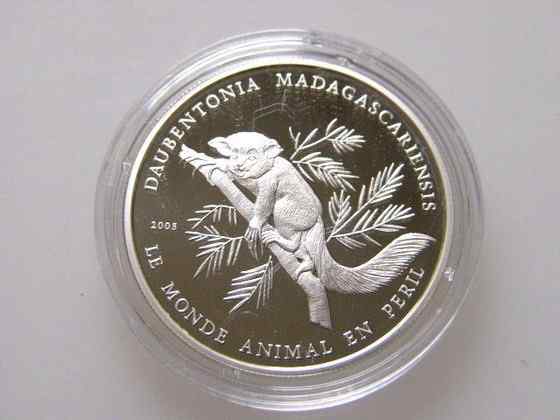 最奇特的灵长目动物  指猴（Daubentonia madagascariensis）