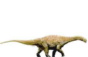 《时代》评选出2009十大新物种博萨维毛鼠居榜首