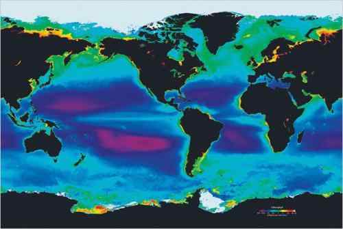 美科学家公布奇妙海洋生物照片