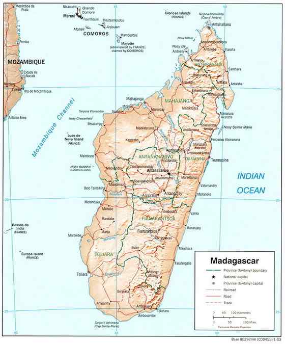 雌雄难辨 怪兽隐肛狸 Cryptoprocta ferox