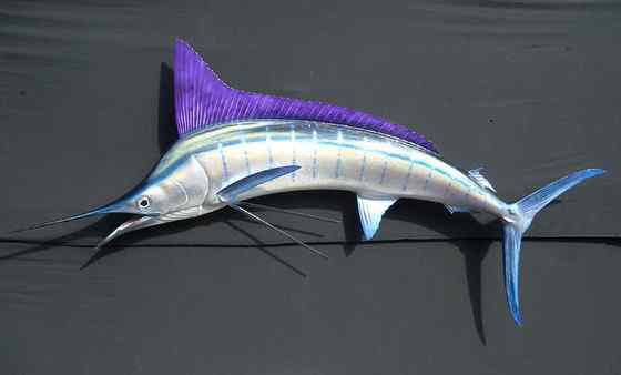 海明威《老人与海》中的旗鱼 Sailfish、Billfish