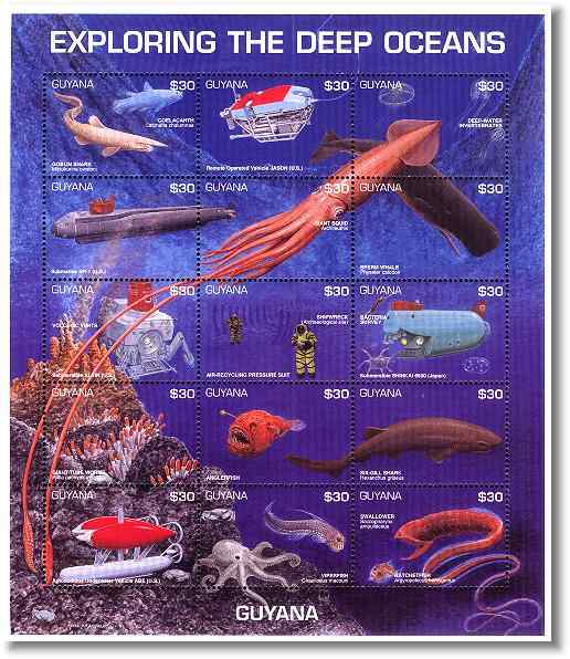 面目狰狞的深海鱼类——蝰鱼、凸齿鱼、毒蛇鱼