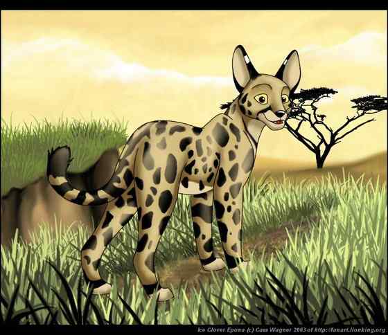 非洲最常见的猫科动物之一  薮猫