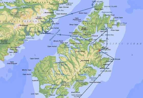 世界上体型最大的陆生猛兽--科迪亚克棕熊