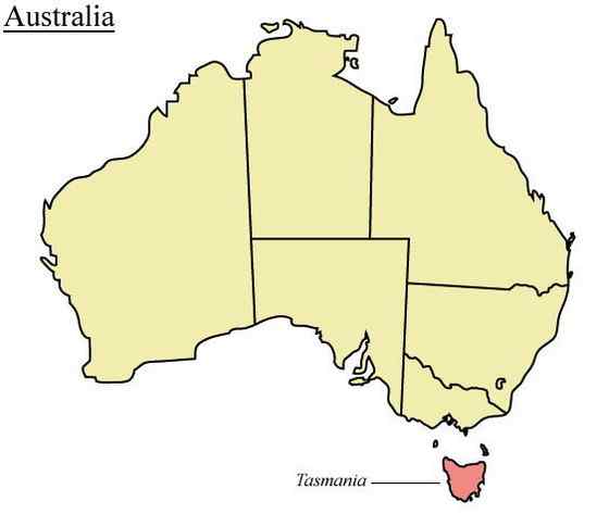 世界上最凶猛的哺乳动物  袋獾