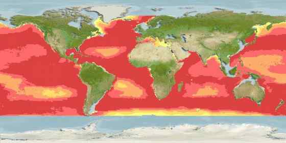 面目狰狞的深海鱼类——蝰鱼、凸齿鱼、毒蛇鱼