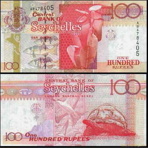 猪笼草、褐翅燕鸥 bridled tern