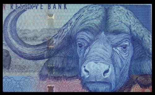 南非动物纸币——收藏首选