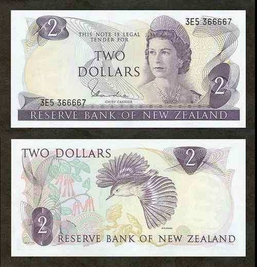 新西兰刺鹩（liáo）