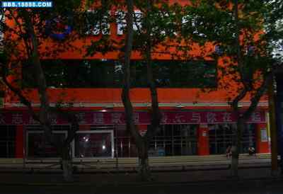 5.12大地震中的小雏鸟及地震记事（十一）