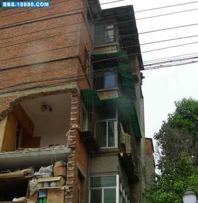 5.12大地震中的小雏鸟及地震记事（十一）