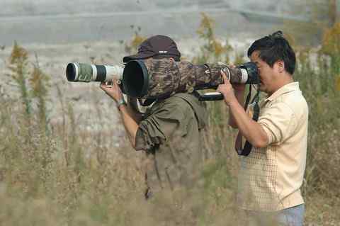 新鸟种，捕鸟者及“虎牙哥哥”