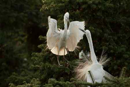 踏着夕阳归    连拍组照
