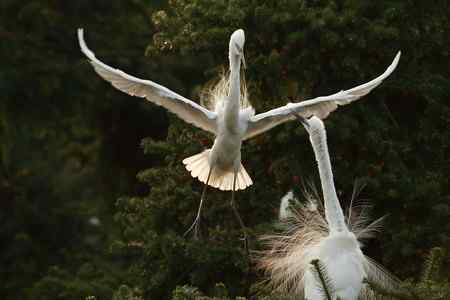 踏着夕阳归----连拍组照