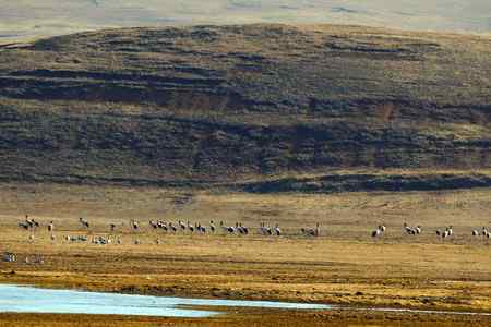 云贵寻鹤行---云南昭通大山包篇