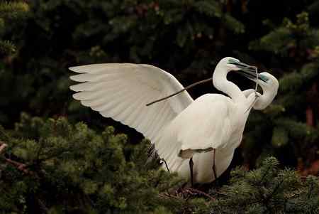 今日象山（阴）