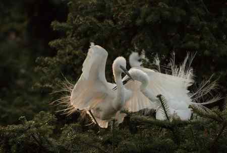 踏着夕阳归    连拍组照