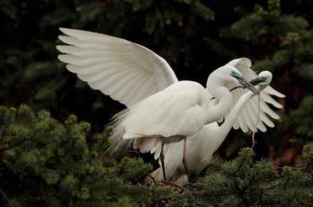 今日象山（阴）