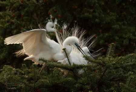 踏着夕阳归    连拍组照