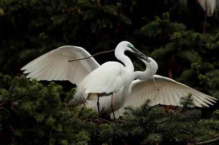 今日象山（阴）