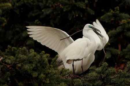 今日象山（阴）