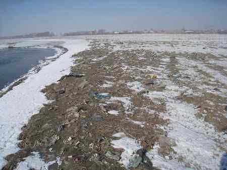 游玩长春西湖湿地，为鸟类祈祷！