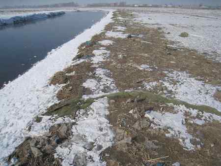 游玩长春西湖湿地，为鸟类祈祷！