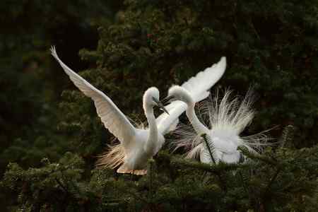 踏着夕阳归    连拍组照