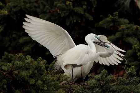 今日象山（阴）