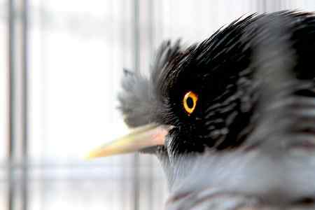 另类视角:北京动物园巨鸟怪鸟愤愤然 另类视角:北京动物园巨鸟怪鸟愤愤然