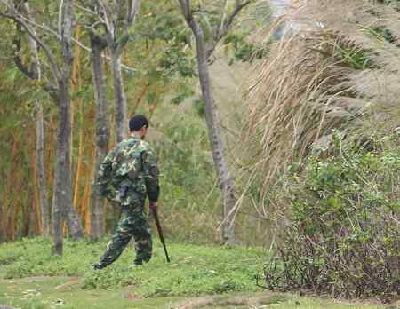武警手持钢枪射杀鸟儿