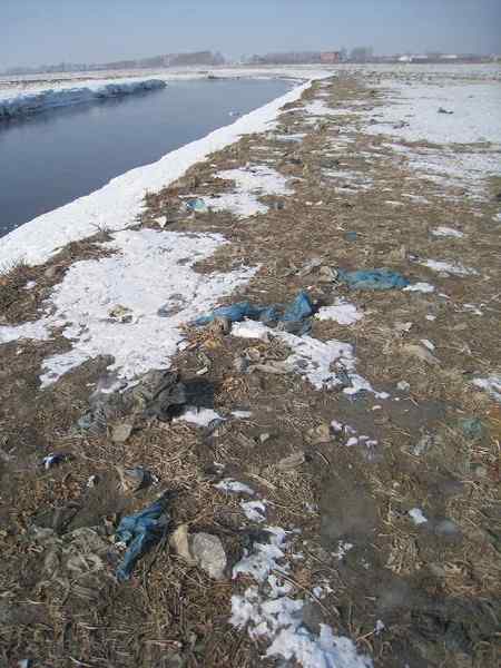 游玩长春西湖湿地，为鸟类祈祷！