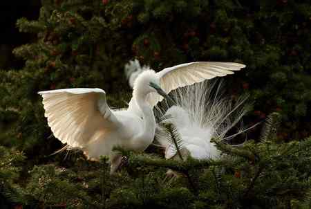 踏着夕阳归    连拍组照