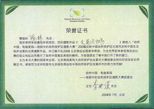 奥运会俺也尽力了