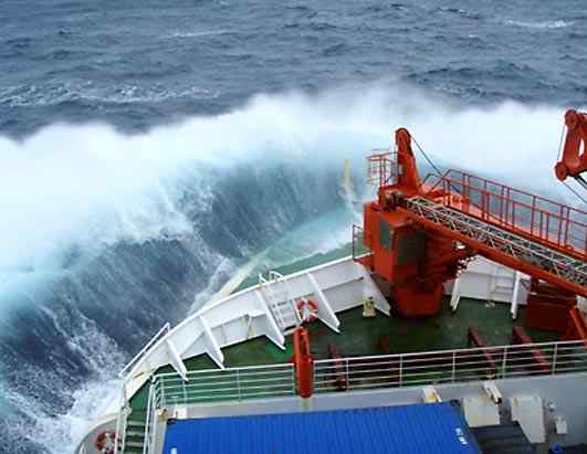 人类第一次完成海洋物种普查：23万种海洋生物