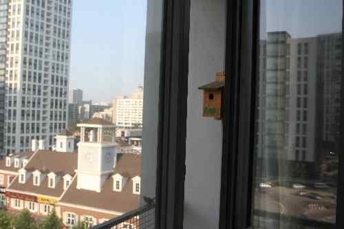 城市高层建筑安装人工鸟巢