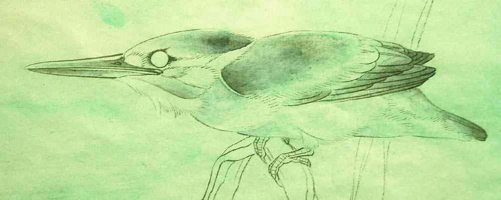 李晓明工笔画——翠鸟的画法