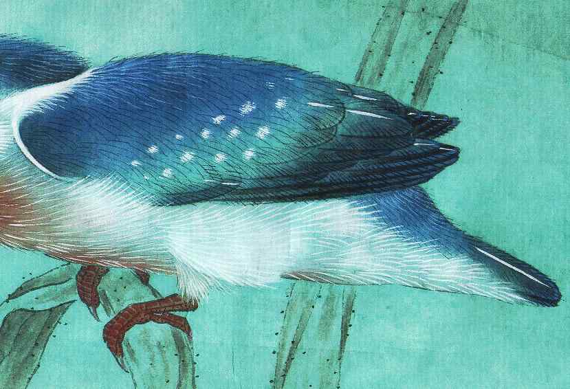 李晓明工笔画——翠鸟的画法