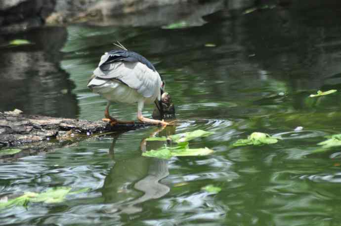 无头无尾的巧遇