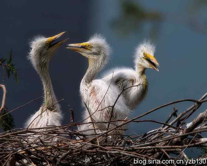 父母是天（组图，6张图片）