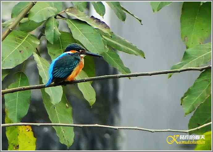 我与鈥溞〈溻澯懈鲈蓟帷菊掌