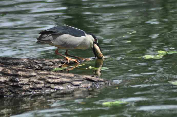 无头无尾的巧遇