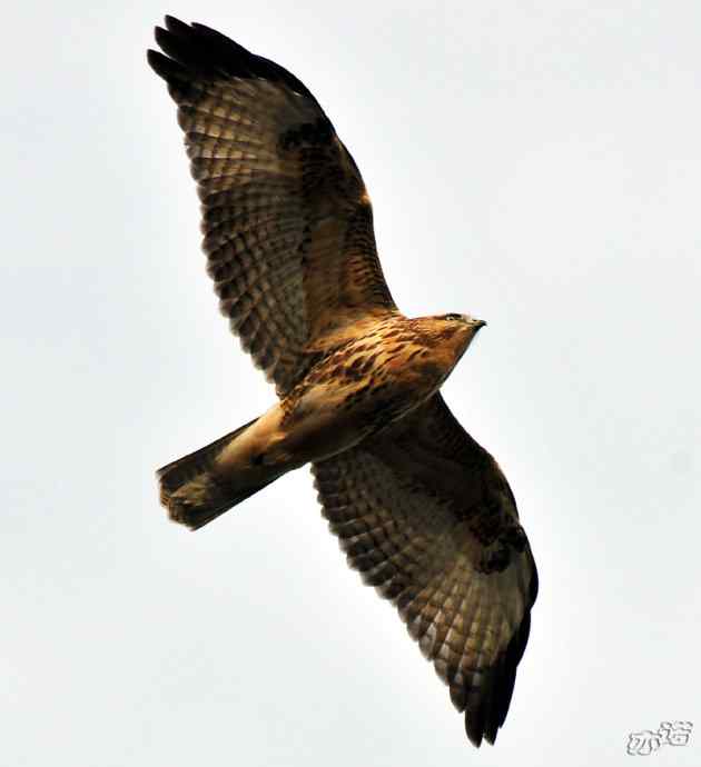 北京西山 wbr路2010-10-12望京楼 北京西山 wbr路2010-10-12望京楼