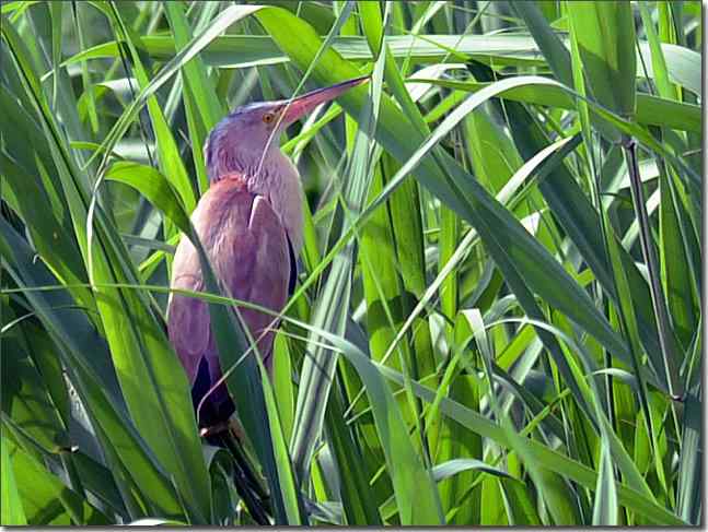  点击图片或使用键盘← →翻页