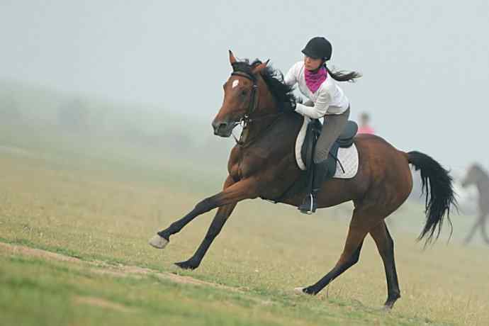 雾天鈥斺斠把己的早晨