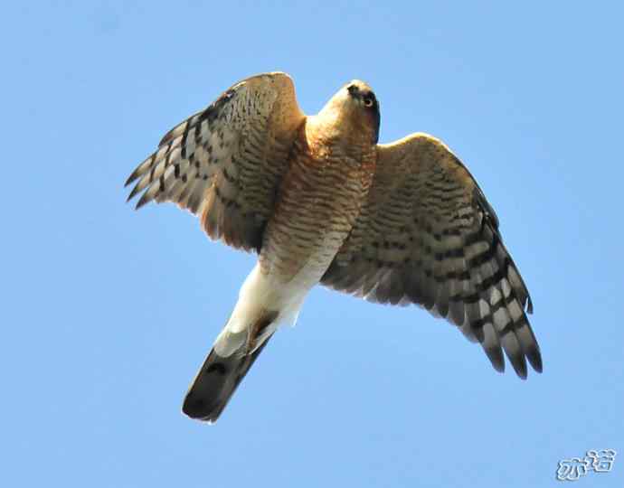 北京西山 wbr路2010-10-12望京楼 北京西山 wbr路2010-10-12望京楼