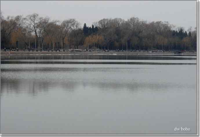 参加自然之友观鸟活动