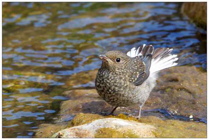 【I wbr'd wbrnever wbrfind wbra wbrlove wbrlike wbrthis】（父爱如山）