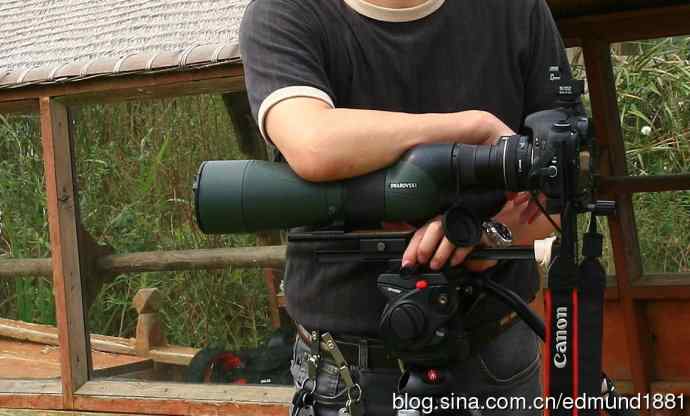 成人玩具-Swarovski望远镜SW80HD + Canon 7D 或 5D + 50mm f/1.4 拍鸟