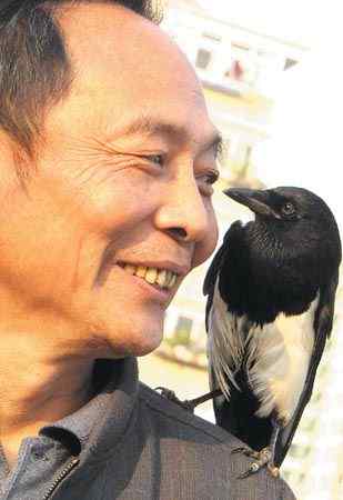 人鸟情深 喜鹊喳喳